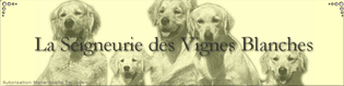 La seignerie des Vignes Blanches